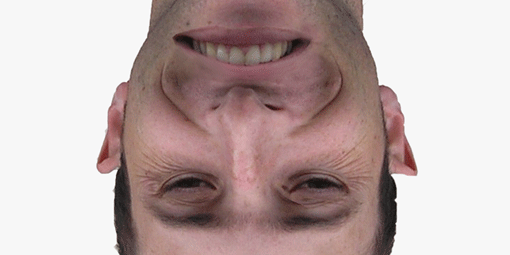הפנים ההפוכות 