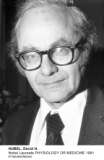 David H. Hubel