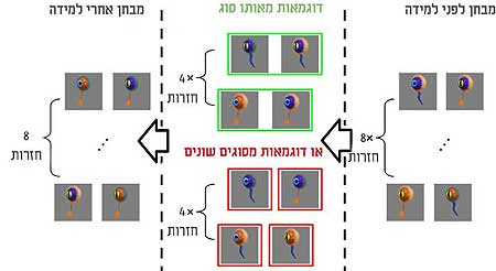 השוואה
